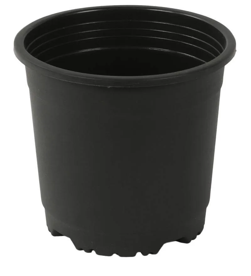 4.75" Flower Pot Black Colour Sunrise Series (12 cm) ( Pack of 12)