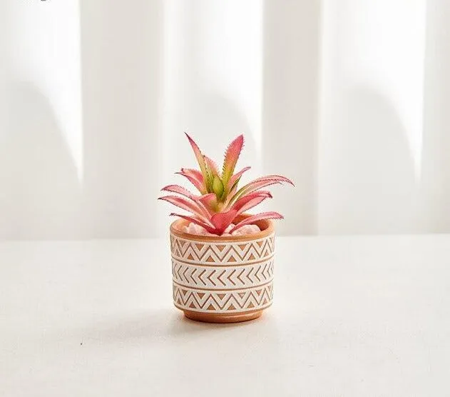 Boho terracotta plant pots