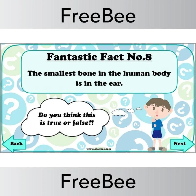 Fantastic Facts - True or False?