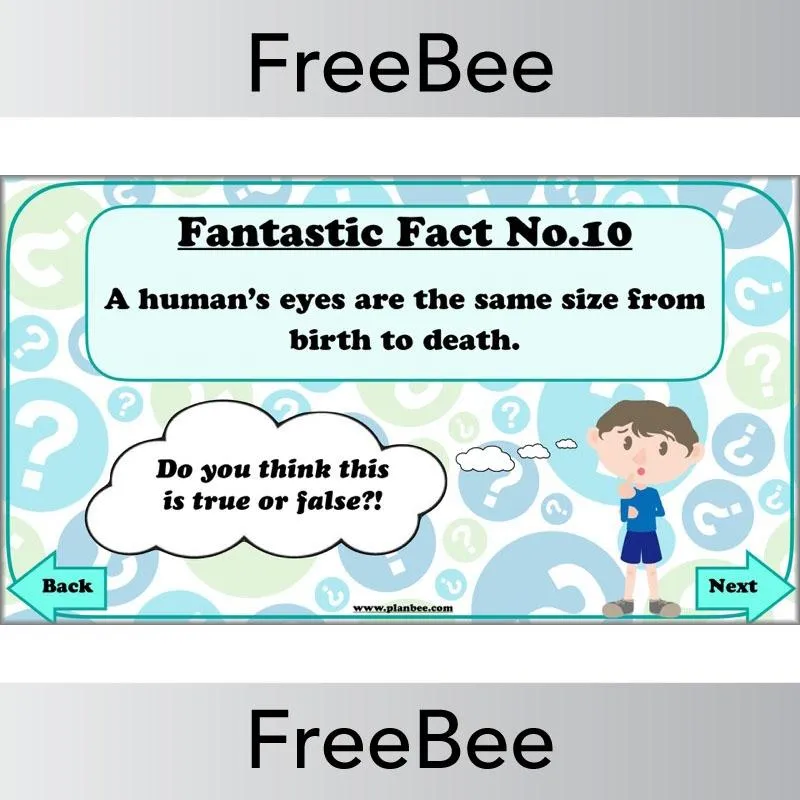 Fantastic Facts - True or False?