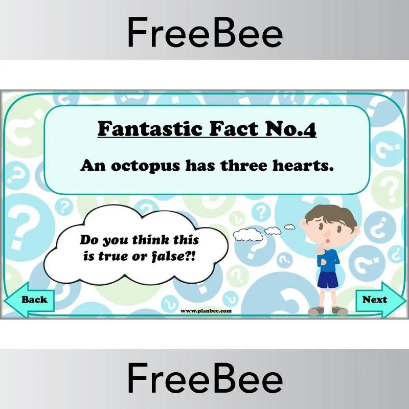 Fantastic Facts - True or False?