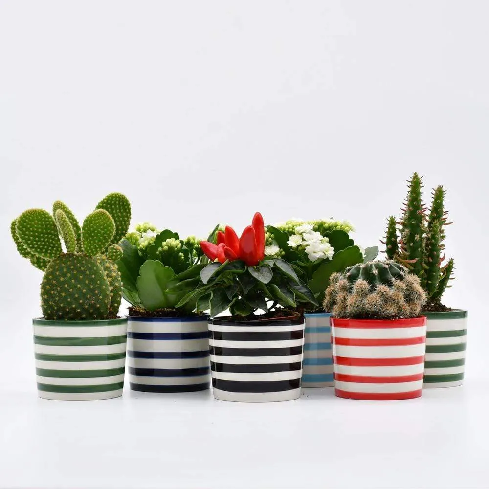Pot en céramique "Costa nova"- Bleu Cobalt